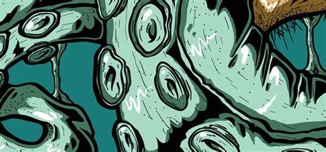 OCTOPHOBIA on Behance