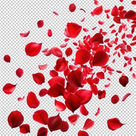 Premium PSD Falling Red Rose Petals On Transparent Background