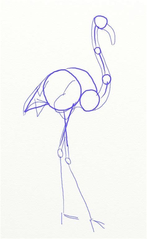 How To Draw A Pink Flamingo Draw Step By Step How To Draw Flamingo