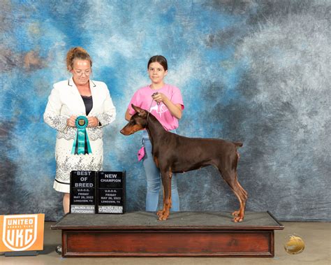 Rogue Indah Lux Dobermans