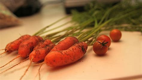 5 Best Carrot Growing Tips - Fine Gardening