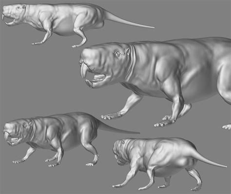 Naked Mole Rat Wip Zbrushcentral