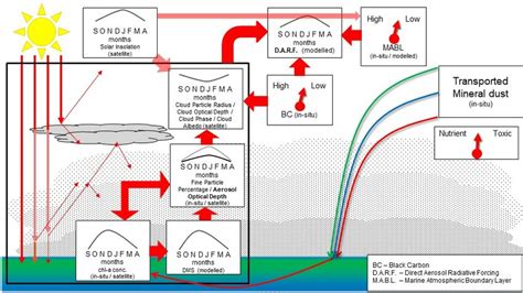 PDF Southern Ocean Aerosol Interaction Dynamics