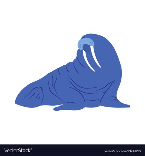 Super Fat Walrus Clipart