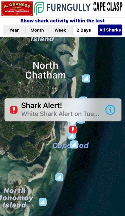 Cape Cod Beaches Close To Swimming After Multiple Shark Sightings