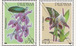 Trivia About Native Philippine Orchids Vi Philippine Trivia