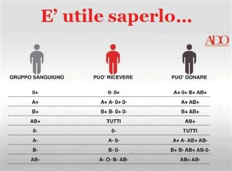 Ab0 E Fattore Rh Come Si Eredita Il Gruppo Sanguigno Avis Regionale Sicilia