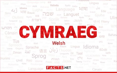 12 Surprising Facts About Welsh (Language) - Facts.net