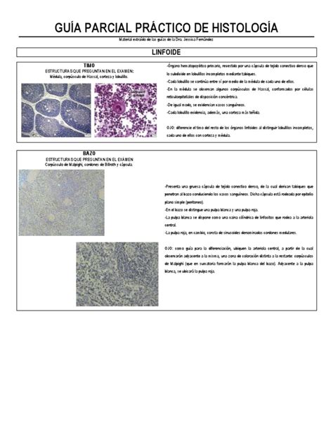Pdf Gu A Parcial Pr Ctico De Histolog A Linfoide Dokumen Tips