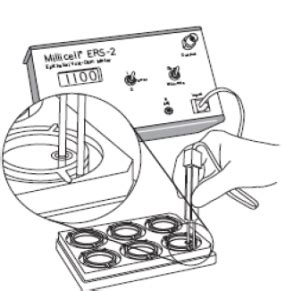 Millicell ERS 2 细胞电阻仪 报价 价格 性能参数 图 美国 Millipore 生物器材网