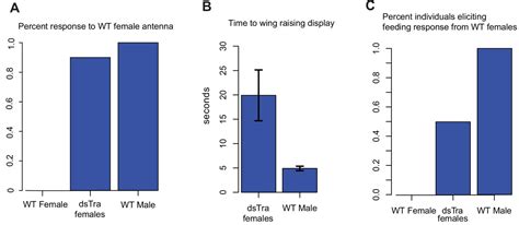 Figures And Data In Hemimetabolous Insects Elucidate The Origin Of