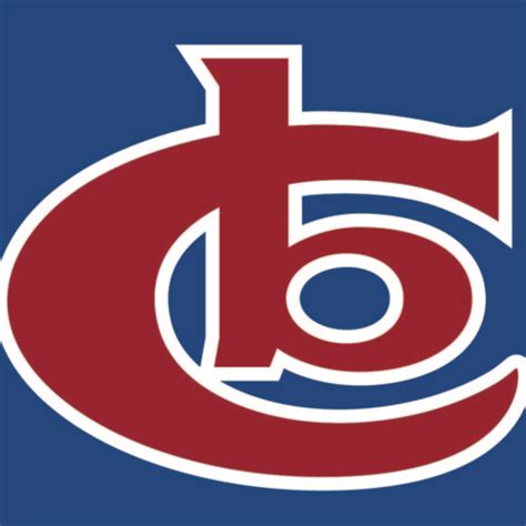 Babe Ruth Baseball Logo Png