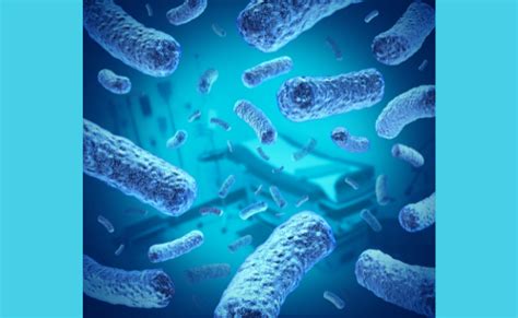 Listeriosis: Causes, Symptoms, and Treatment Options