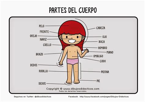 Dibujos Del Cuerpo Humano Para Imprimir Armes The Best Porn Website