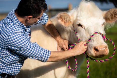 Animal Chiropractor, At Your Service - Illinois Farm Bureau Partners