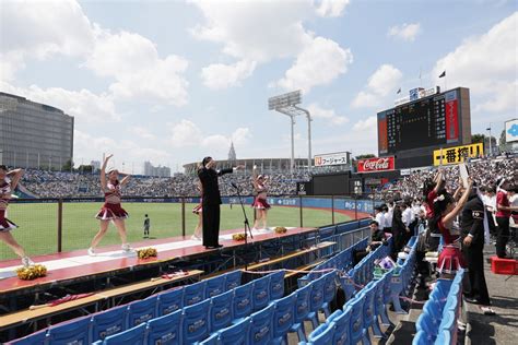 2024春季「華の早慶戦」第1回戦 ③外野応援 写真共有サービス 30days Album