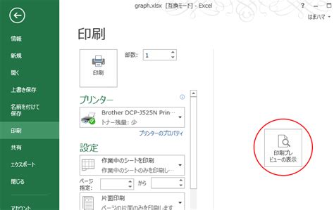 印刷プレビュー時に【印刷プレビューの表示】が出現する Excel 2013 初心者のためのoffice講座