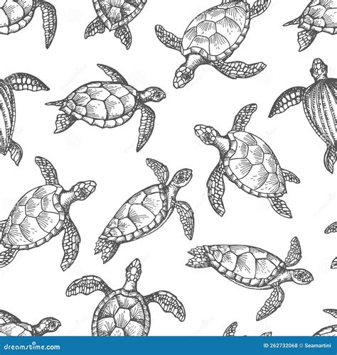 Croquis De Reptile De Tortue Illustration De Vecteur Illustration Du