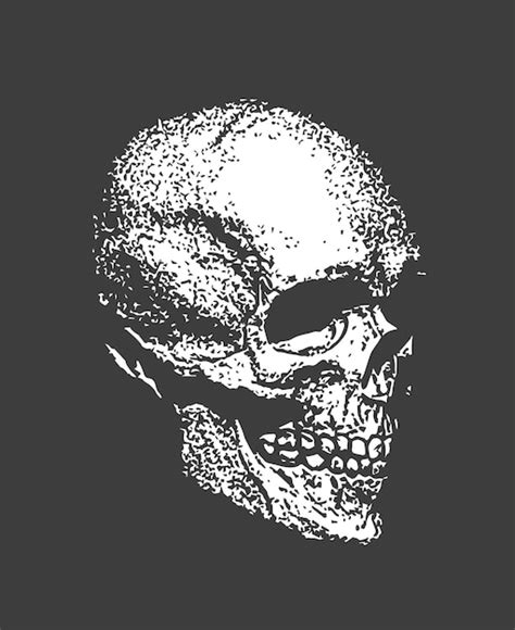 Una Calavera Con Fondo Negro Vector Premium