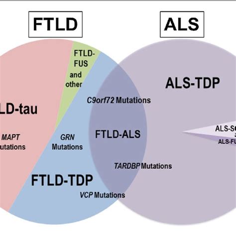 Tdp 43 Mediated Neurodegeneration In Ftld Tdpals Pathological Tdp 43 Download Scientific