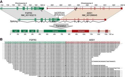 Circulating Tumor Dna Reveals Clinically Actionable Somatic Genome Of