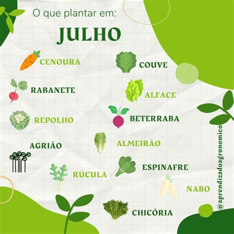 An Illustrated Map Of The Different Fruits And Vegetables