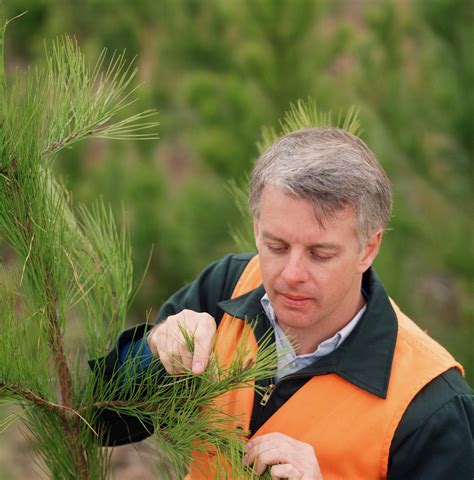 Pacific Land Preservation... - Pacific Land Preservation