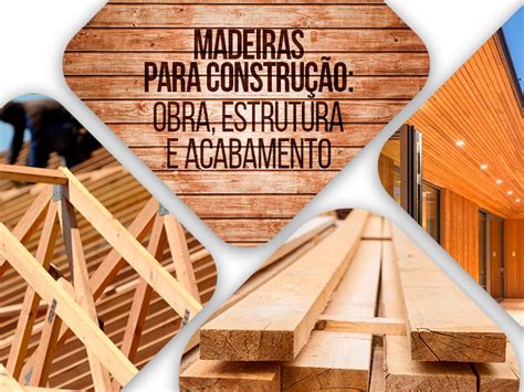 Madeira Para Construção As Melhores Para Obra Estrutura E Acabamento