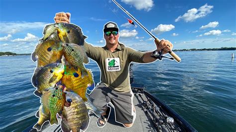 GIANT Summer Panfish CATCH CLEAN COOK Delicious YouTube