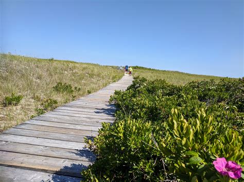 Arrival Path 3 Good Harbor Beach Gloucester Ma 4pm20200718©c Ryan