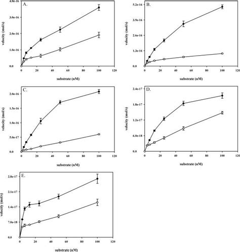 Kinetics Of Wild Type And S C Ogg Wild Type And S C Ogg Nm