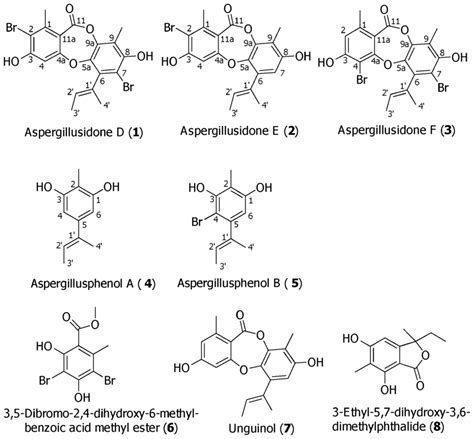 Secondary Metabolites Of The Marine Derived Fungus CRI282 03 Grown In