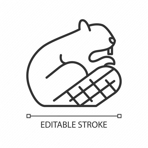 Canada Beaver Canadian Official Emblem Iconic Symbol Icon