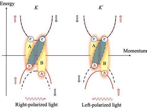 The Schematic Band Structure And Electronic Dispersions In The Tmdc Download Scientific Diagram