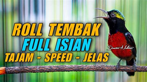 ROLL TEMBAK KONIN GACOR FULL ISIAN SPEED RAPAT TAJAM JELAS COCOK BUAT