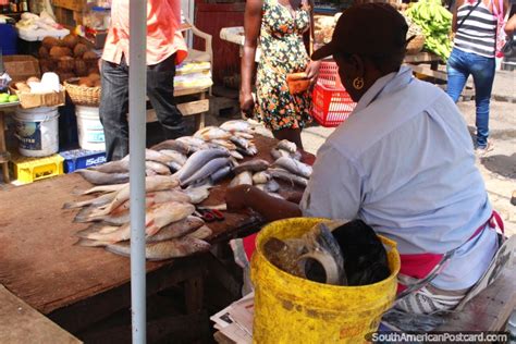 Fresh Fish For Sale At Stabroek Market In Georgetown Guyana South