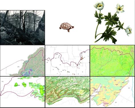 Allegheny Plateau Map