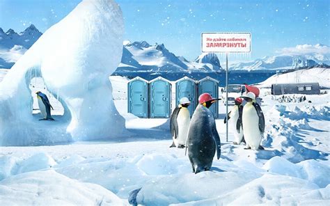 Купить туалетные кабины для дачи от 23 000 руб. с бесплатной доставкой