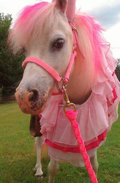 My Pretty Pony This Just Seems So Wrong Everything Pink Horse