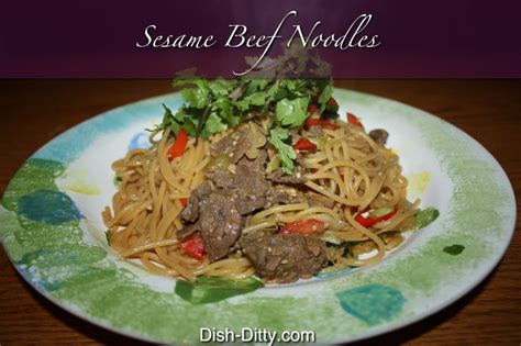 Sesame Garlic Noodles with Beef – Dish Ditty Recipes