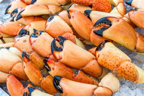 Best Stone Crab In Florida Winners 2019 Usa Today 10best