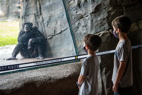 More to Explore at the Houston Zoo! - The Houston Zoo