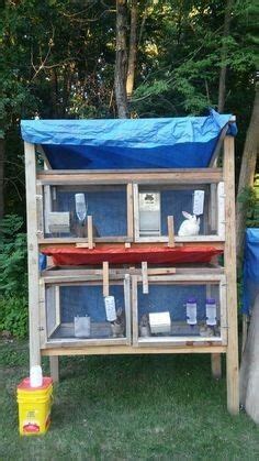 Pin By Erika Hasch On Meat Rabbits Diy Rabbit Hutch Raising Rabbits