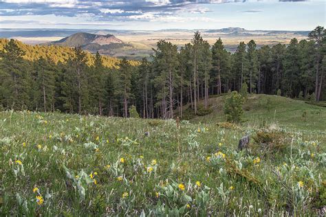 Northeast Wyoming Spring Sunset Photograph By David M Porter Fine Art