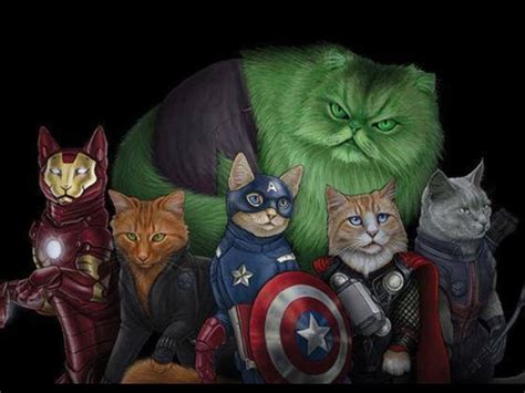 Super Cats Jenny Park Super Cat Comic Book Superheroes