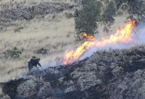 Minam El 98 De Incendios Forestales Es Causado Por La Acción Humana