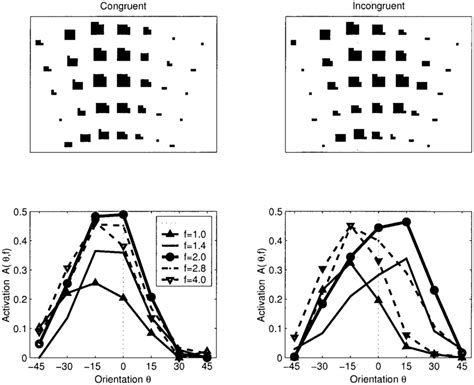 Sample Representations Of A Congruent And An Incongruent Stimulus In Download Scientific