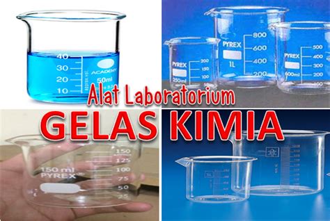 Gambar 30 Alat Laboratorium Beserta Fungsinya Gambar Terlengkap Gelas