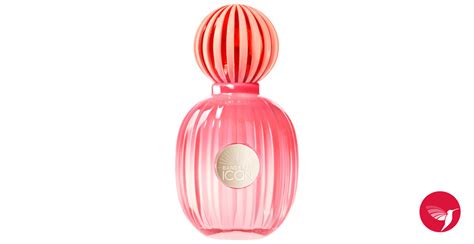 The Icon Splendid Antonio Banderas perfume - a new fragrance for women 2024