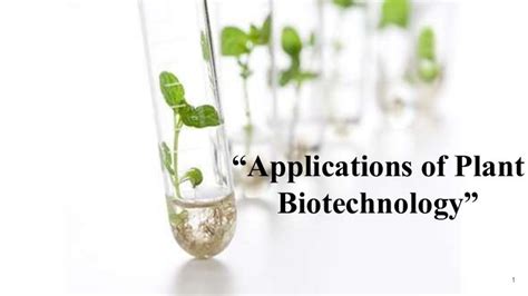 Applications of plant biotechnology